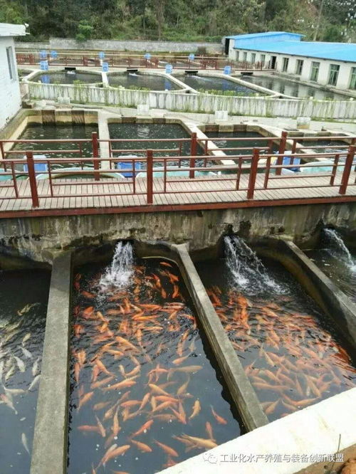我們要養(yǎng)魚(yú),我們也要環(huán)保,工廠化水產(chǎn)養(yǎng)殖系統(tǒng)備受關(guān)注