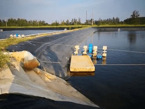 水產(chǎn)養(yǎng)殖還不會(huì)用菌 有哪些注意事項(xiàng) 你都用對(duì)了嗎 干貨滿滿