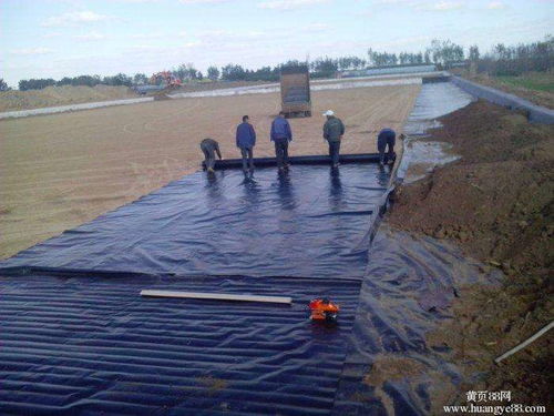 聚乙烯土工膜報(bào)價(jià) 廠家