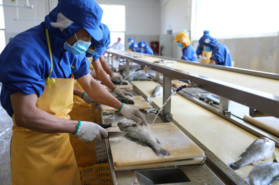 珠海水產養(yǎng)殖業(yè)全面復工復產 創(chuàng)新水產方便菜成&ldquo;網紅&rdquo;