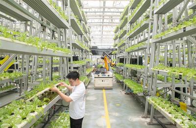 養(yǎng)魚不換水 種菜不施肥