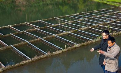 萬州:治理尾水 促水產養殖業綠色高質量發展
