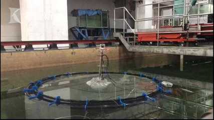 &ldquo;深遠海養(yǎng)殖技術(shù)發(fā)展國際研討會&rdquo;在臨港召開