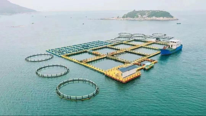 高水平建設(shè)&ldquo;深藍(lán)糧倉&rdquo; 農(nóng)科集團(tuán)擬投資20億元打造深遠(yuǎn)海養(yǎng)殖平臺(tái)