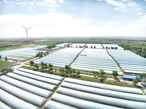 張家口沽源 科技助力打造精品農業示范區鳳凰網河北 鳳凰網