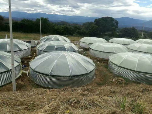 水產(chǎn)養(yǎng)殖邁入科技養(yǎng)殖時(shí)代 低碳節(jié)能高速增氧機(jī) 手機(jī)遠(yuǎn)程操控