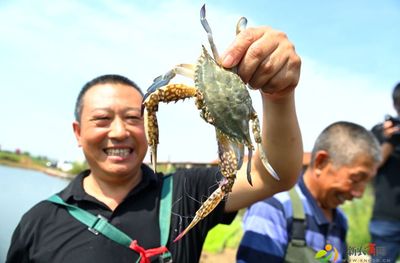 又到一年吃蟹季!2021中國(guó)農(nóng)民豐收節(jié)暨第二屆島耳河螃蟹節(jié)開(kāi)幕