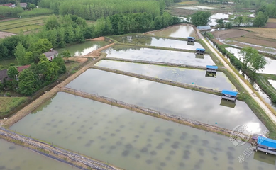 赤壁:打造高質(zhì)量發(fā)展研究院 服務(wù)縣域經(jīng)濟發(fā)展