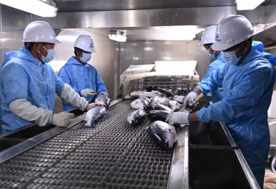 山東省人民政府國有資產(chǎn)監(jiān)督管理委員會