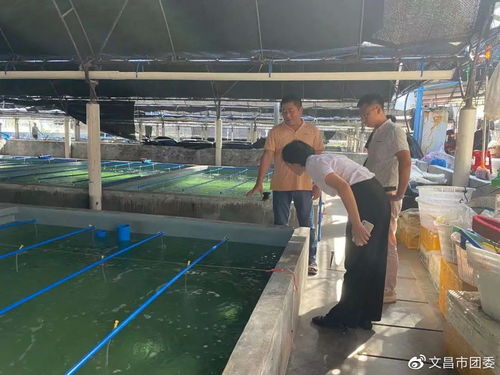 海南文昌市團(tuán)委到會(huì)文鎮(zhèn)煙堆村調(diào)研水產(chǎn)養(yǎng)殖產(chǎn)業(yè)及鄉(xiāng)村振興工作