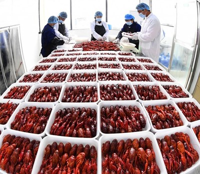 【新時代 新作為 新篇章】城市新青年:我們,正青春!