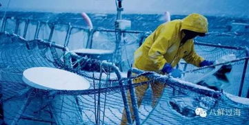 先進水產(chǎn)養(yǎng)殖技術(shù)及設備之網(wǎng)箱水產(chǎn)養(yǎng)殖