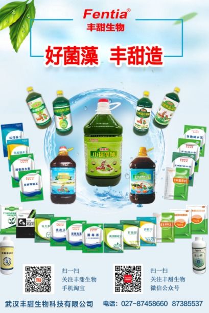 水產(chǎn)養(yǎng)殖博覽會(huì)新亮點(diǎn)呈現(xiàn)