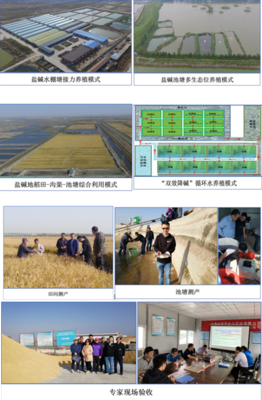 中國(guó)水產(chǎn)科學(xué)研究院東海所牽頭的藍(lán)色糧倉(cāng)重點(diǎn)專(zhuān)項(xiàng)課題&ldquo;鹽堿水質(zhì)綜合改良調(diào)控技術(shù)研發(fā)與養(yǎng)殖模式構(gòu)建&rdquo;開(kāi)展2020年度現(xiàn)場(chǎng)驗(yàn)收