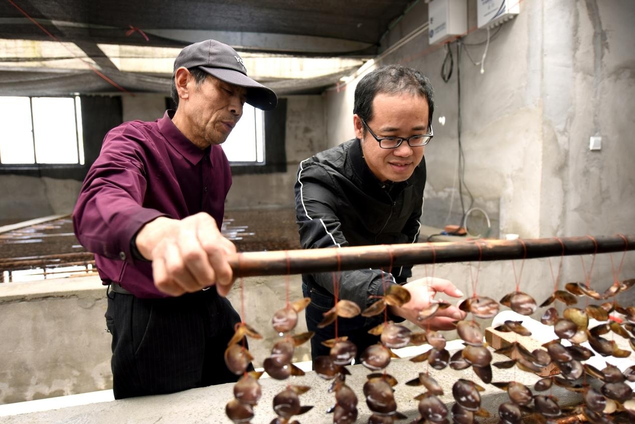 溫州洞頭 巡視整改出成效，海島漁業大“聚變”